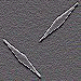 1575.gif